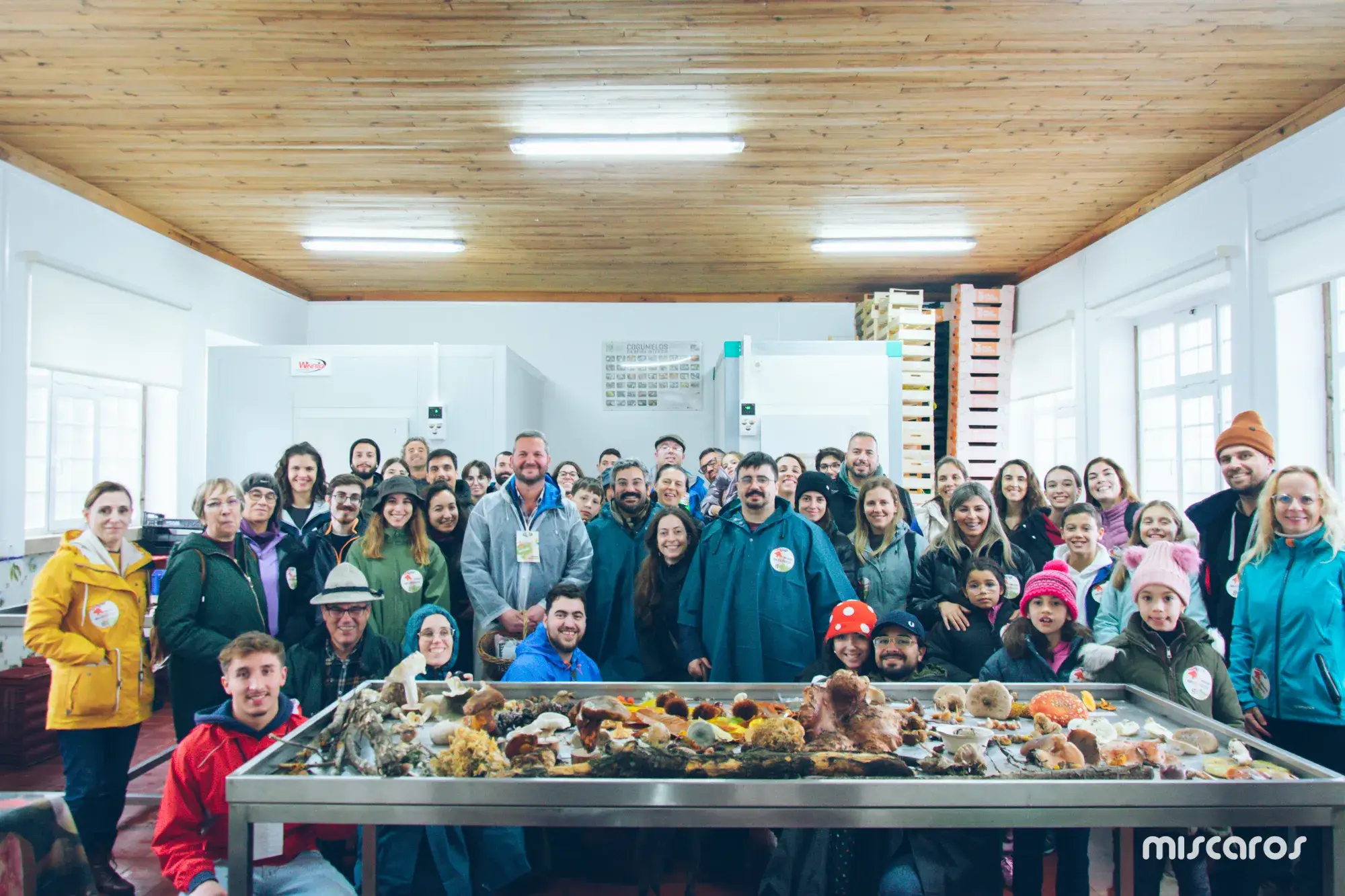Míscaros - Festival do Cogumelo 2025 | Sábado